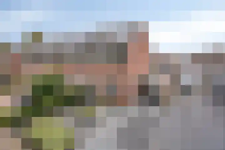 Lindenoord 2 Wolvega thumbnail 26