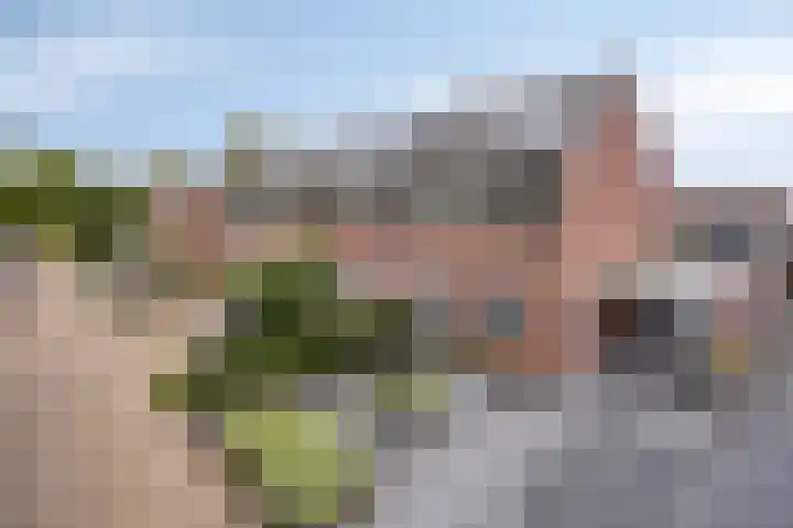 Lindenoord 2 Wolvega thumbnail 28
