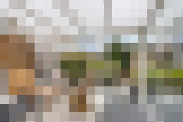 Lindenoord 2 Wolvega thumbnail 5