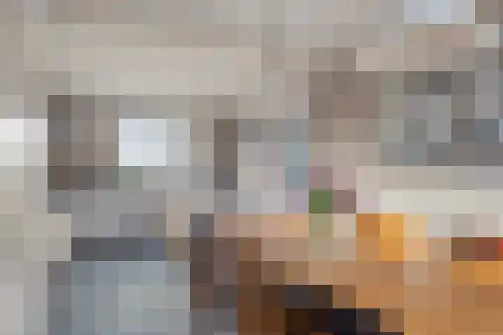 Lindensteeg 24 Wanroij thumbnail 22