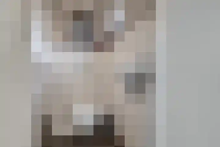 Lindensteeg 24 Wanroij thumbnail 25