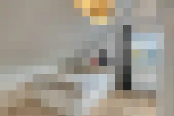 Lindensteeg 24 Wanroij thumbnail 33