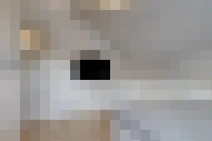 Lindensteeg 24 Wanroij thumbnail 34