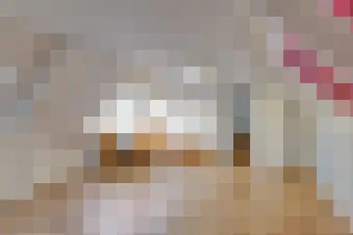 Lindensteeg 24 Wanroij thumbnail 45
