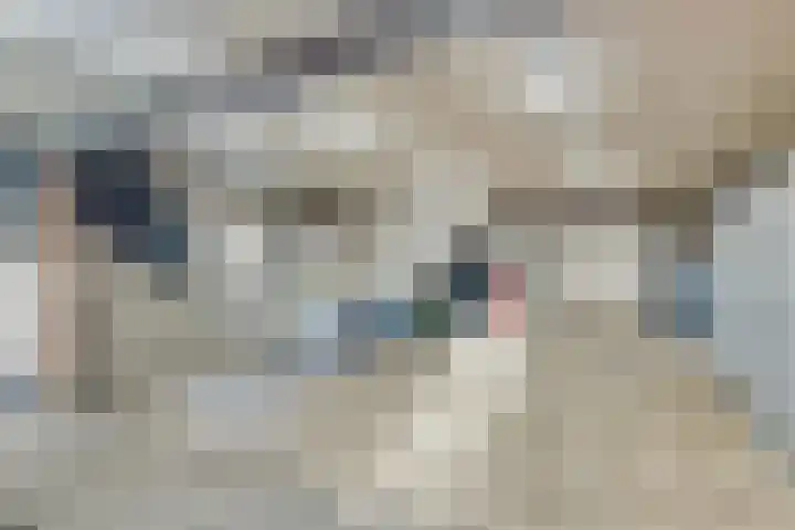 Lindensteeg 24 Wanroij thumbnail 51
