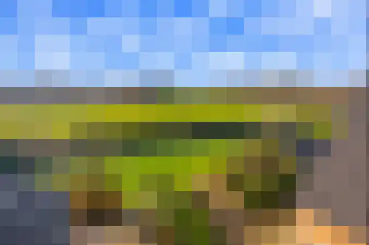 Lindensteeg 24 Wanroij thumbnail 58