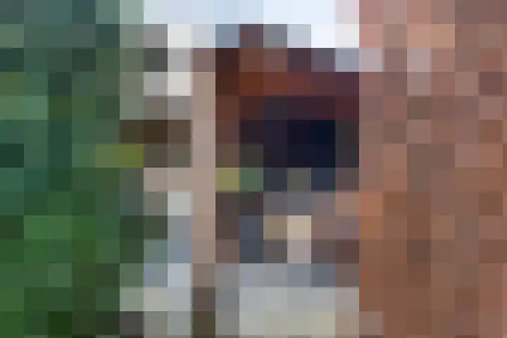 Lindensteeg 24 Wanroij thumbnail 61
