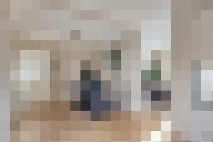 Lindensteeg 24 Wanroij thumbnail 9