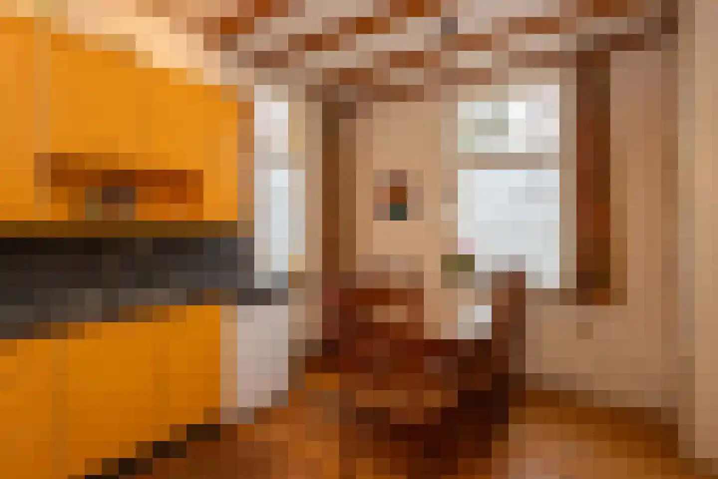 Lindenstraat 14 Hapert thumbnail 13