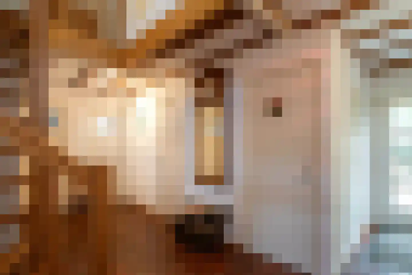 Lindenstraat 14 Hapert thumbnail 15