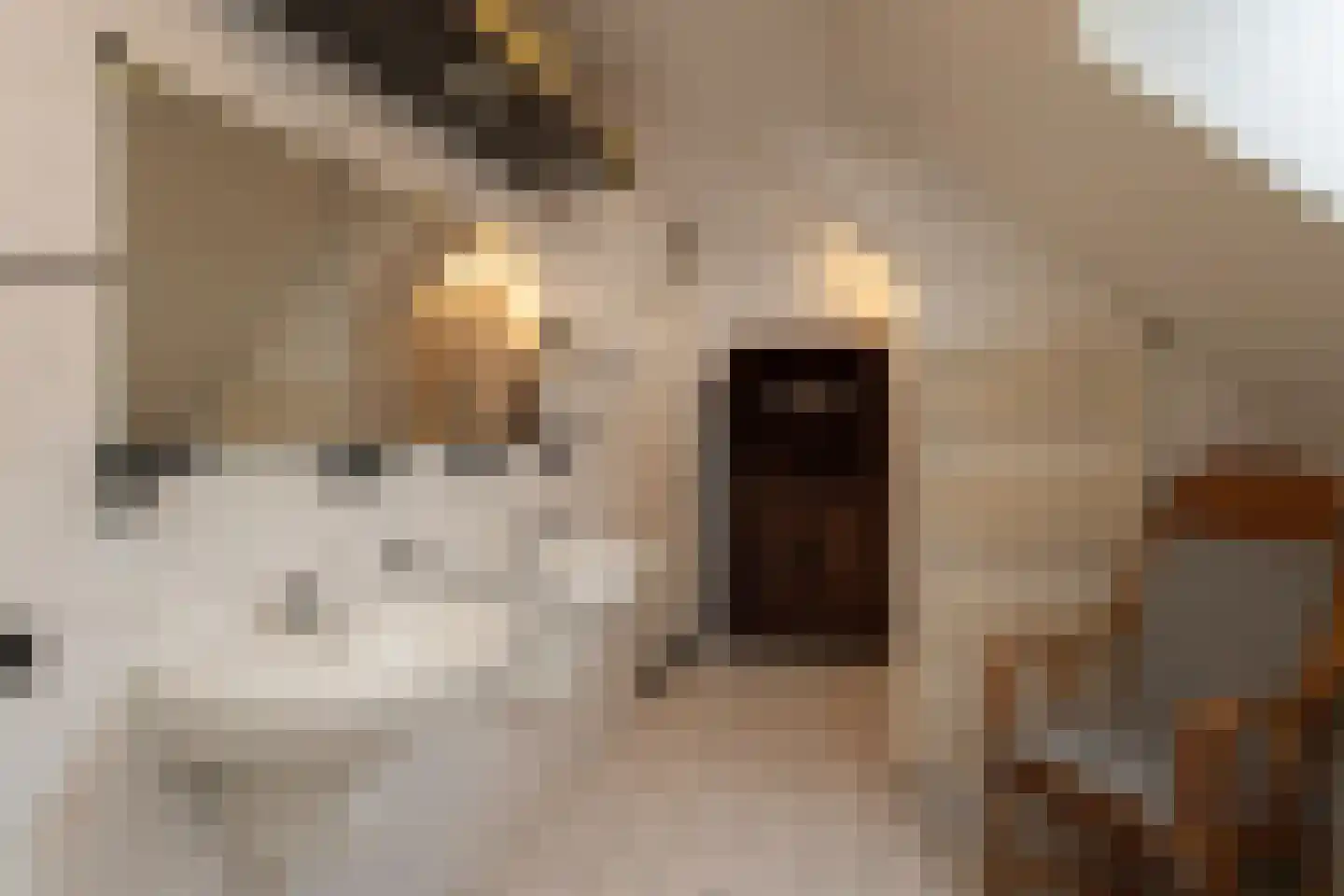 Lindenstraat 14 Hapert thumbnail 27