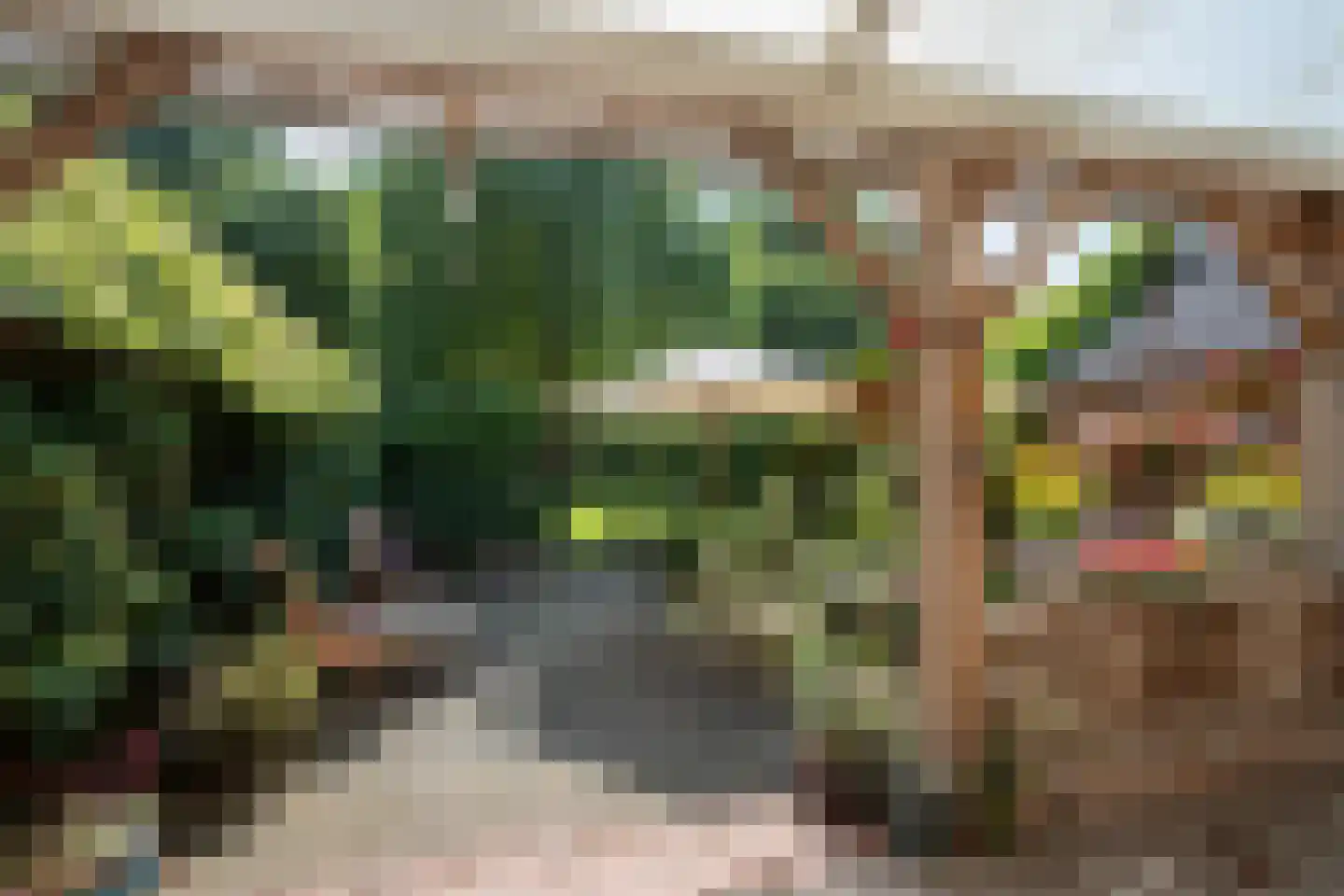 Lindenstraat 14 Hapert thumbnail 30