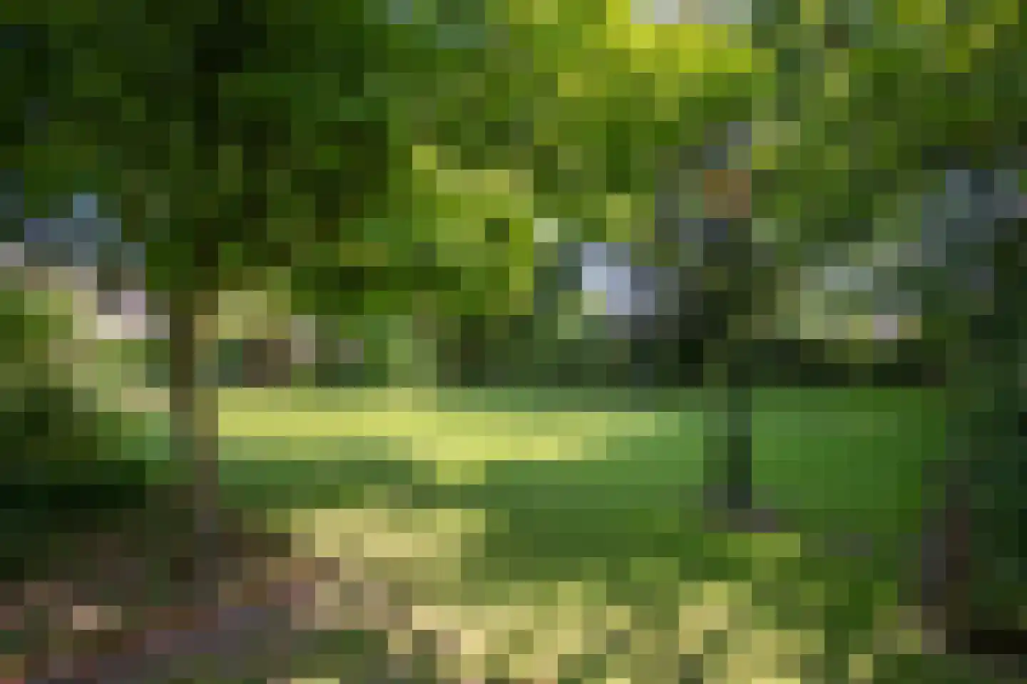 Lindenstraat 14 Hapert thumbnail 31