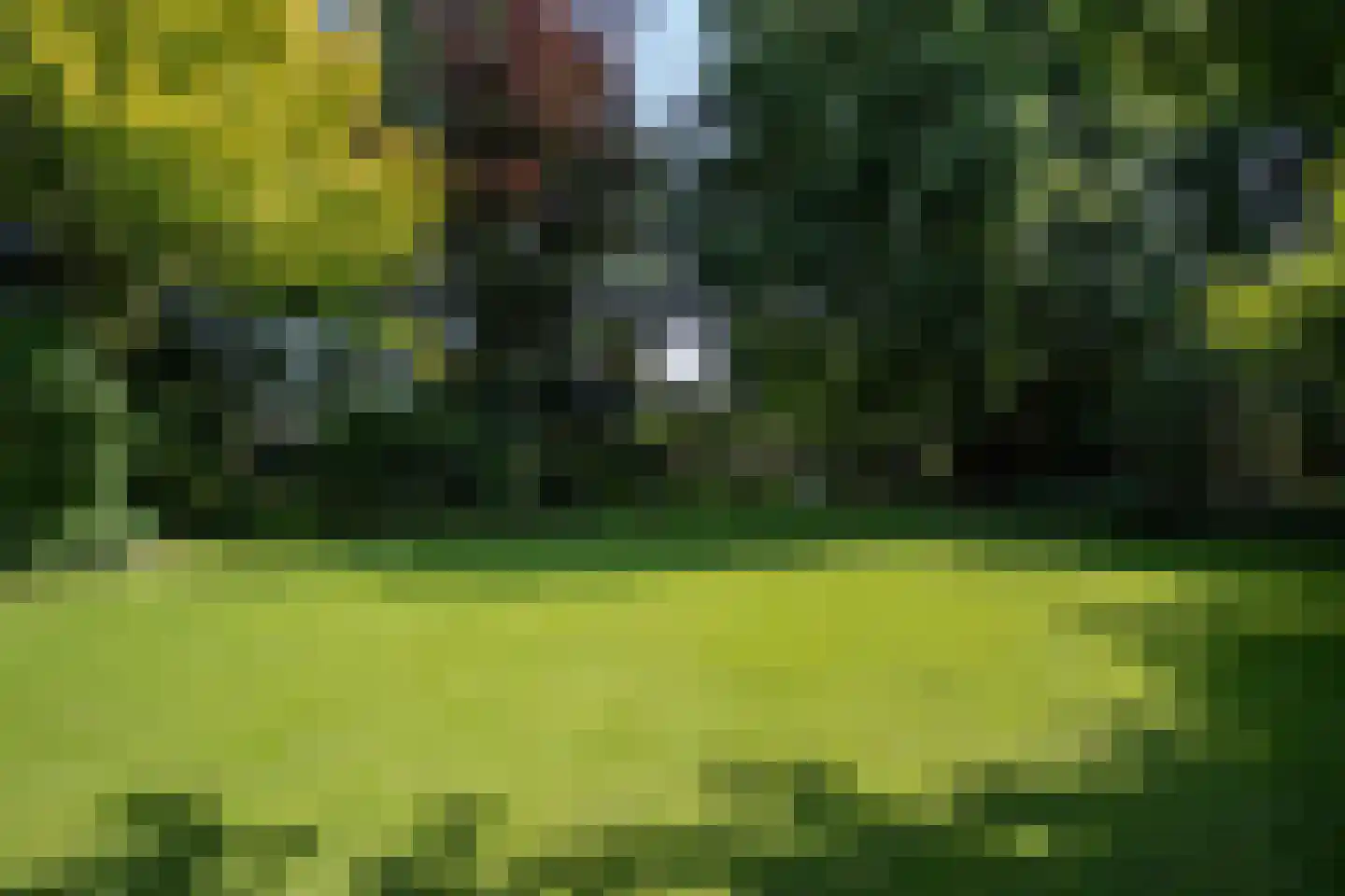 Lindenstraat 14 Hapert thumbnail 33