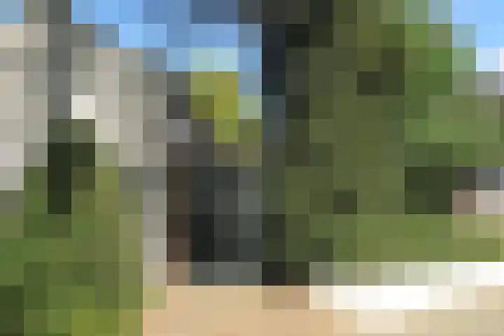 Lindenstraat 2 Wijchen thumbnail 11