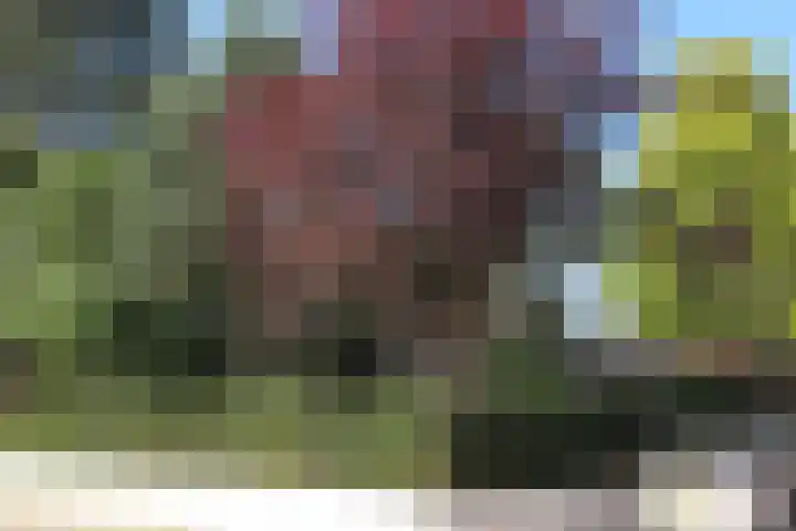 Lindenstraat 2 Wijchen thumbnail 13