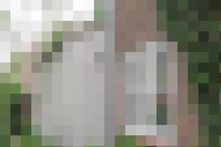 Lindenstraat 2 Wijchen thumbnail 14