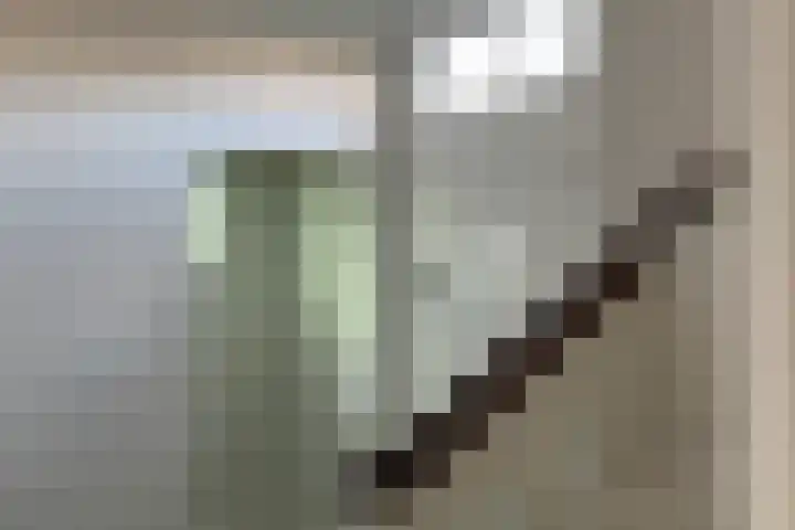 Lindenstraat 2 Wijchen thumbnail 19