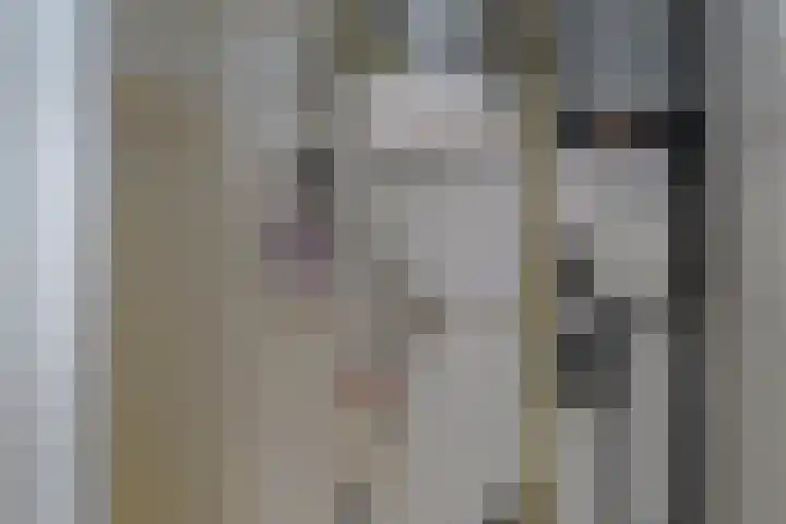 Lindenstraat 2 Wijchen thumbnail 22