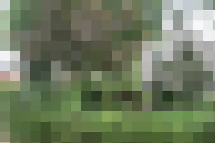 Lindenstraat 2 Wijchen thumbnail 5