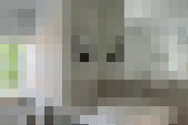 Lindenstraat 2 Wijchen thumbnail 56
