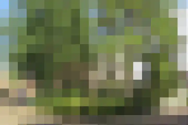 Lindenstraat 2 Wijchen thumbnail 6