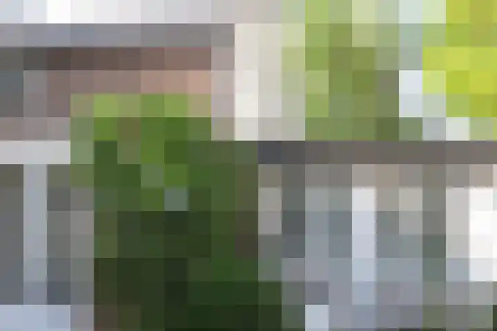 Lindenstraat 2 Wijchen thumbnail 64