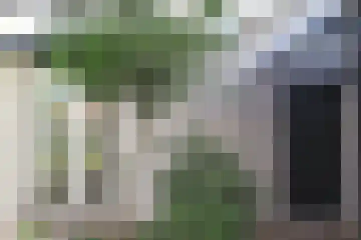 Lindenstraat 2 Wijchen thumbnail 67