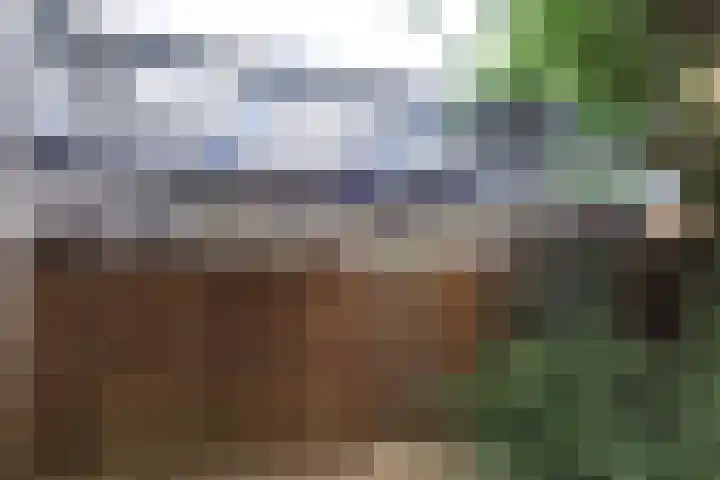 Lindenstraat 2 Wijchen thumbnail 69