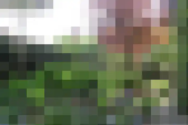Lindenstraat 2 Wijchen thumbnail 71