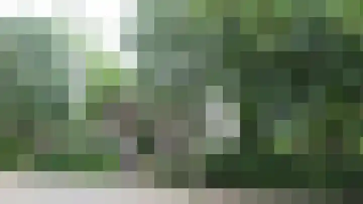 Lindenstraat 2 Wijchen thumbnail 75