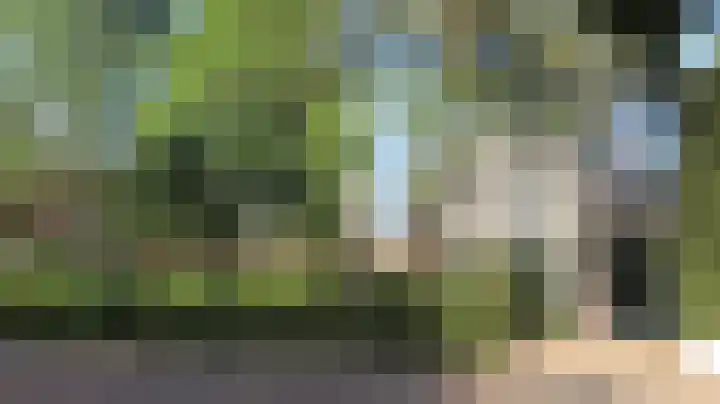 Lindenstraat 2 Wijchen thumbnail 9