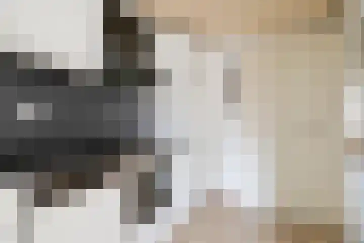 Lindenstraat 5 Venray thumbnail 11