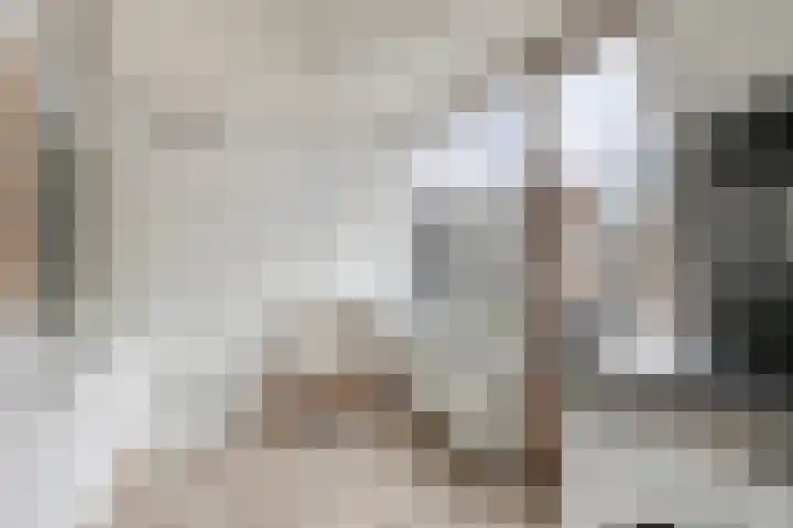 Lindenstraat 5 Venray thumbnail 12