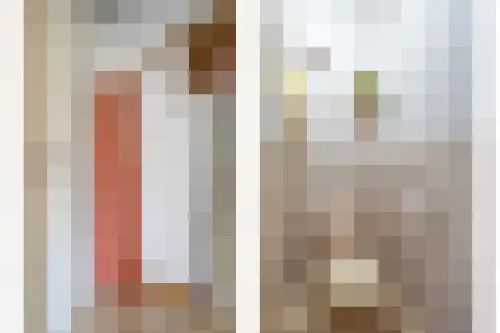 Lindenstraat 5 Venray thumbnail 13