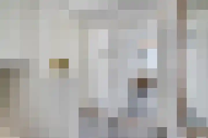 Lindenstraat 5 Venray thumbnail 14