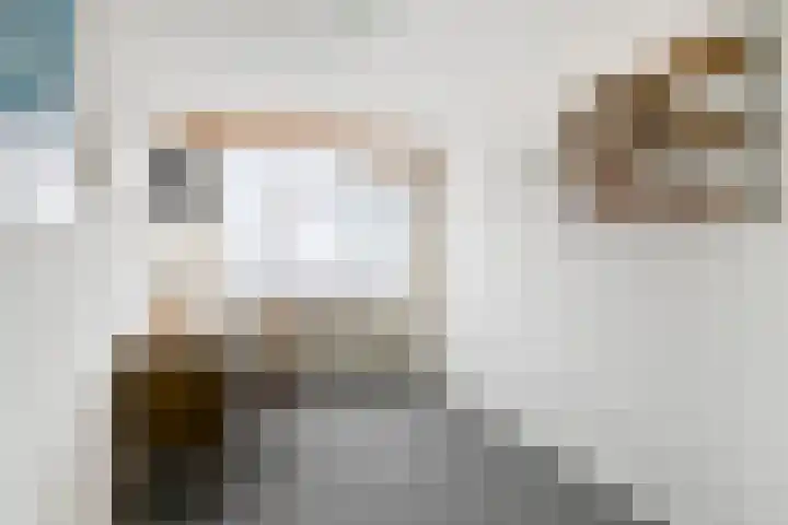 Lindenstraat 5 Venray thumbnail 18