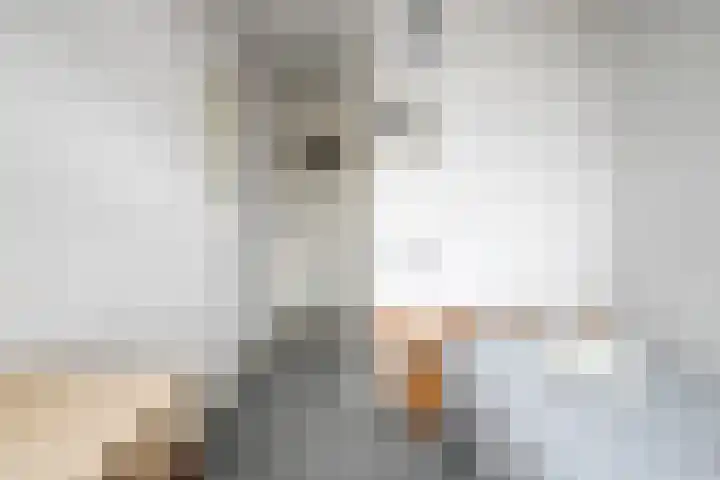 Lindenstraat 5 Venray thumbnail 20