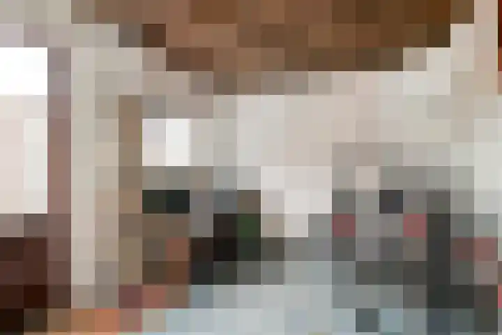 Lindenstraat 5 Venray thumbnail 30