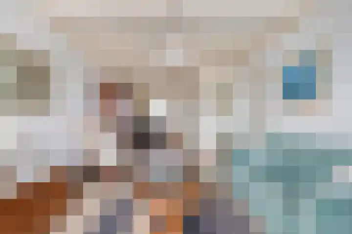 Lindenstraat 5 Venray thumbnail 6