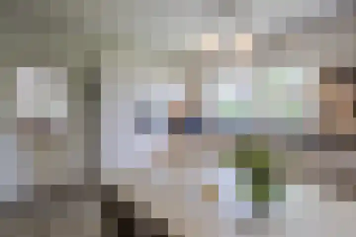 Lindeselaak 7 Wichmond thumbnail 13