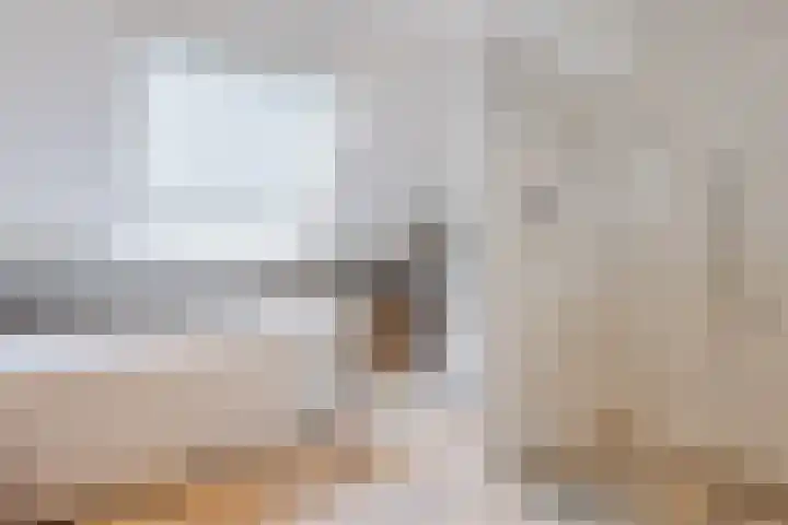Lindeselaak 7 Wichmond thumbnail 21