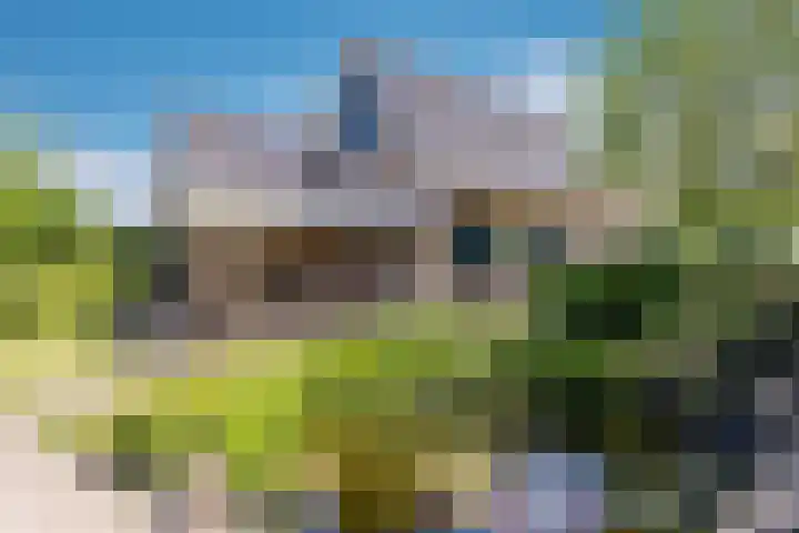 Lindeselaak 7 Wichmond thumbnail 37