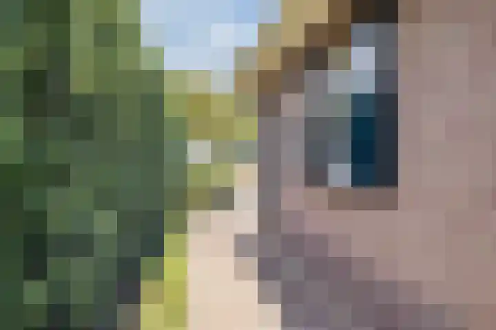Lindeselaak 7 Wichmond thumbnail 45