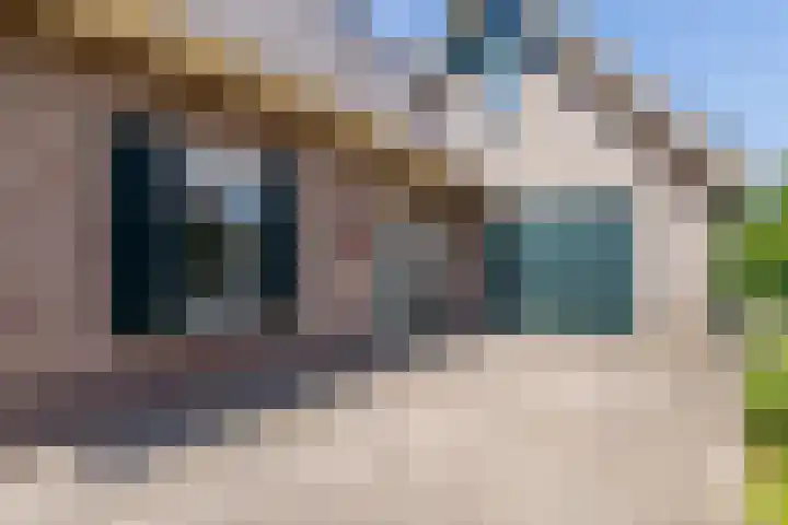 Lindeselaak 7 Wichmond thumbnail 46