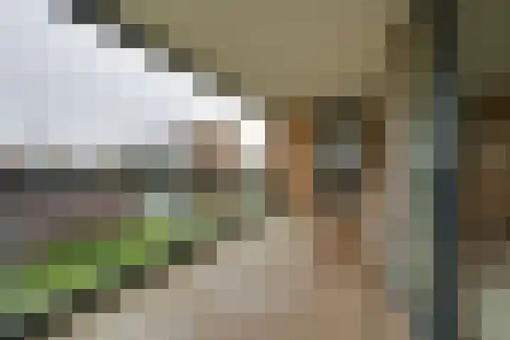 Lindestate 32 Purmerend thumbnail 15