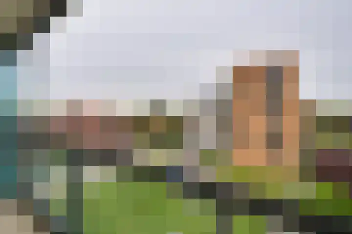 Lindestate 32 Purmerend thumbnail 19