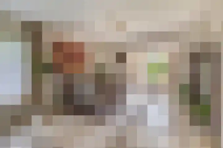 Lindestraat 101 Eersel thumbnail 13
