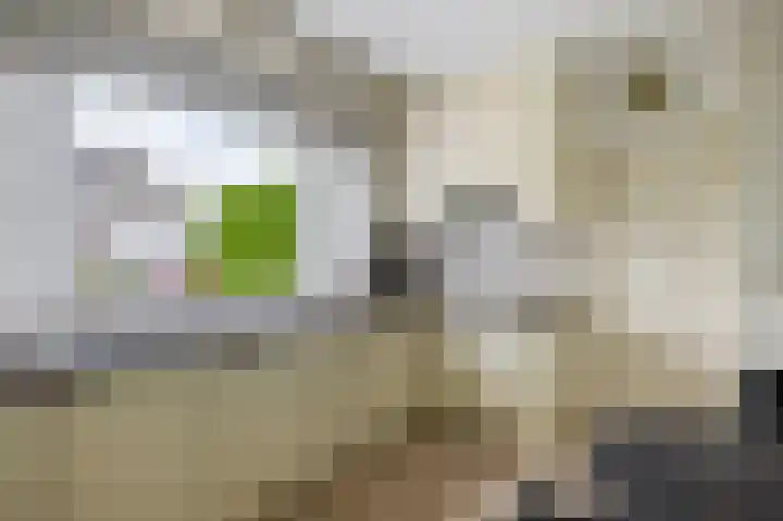 Lindestraat 101 Eersel thumbnail 18