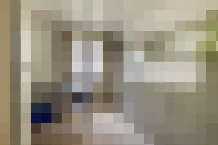 Lindestraat 101 Eersel thumbnail 28